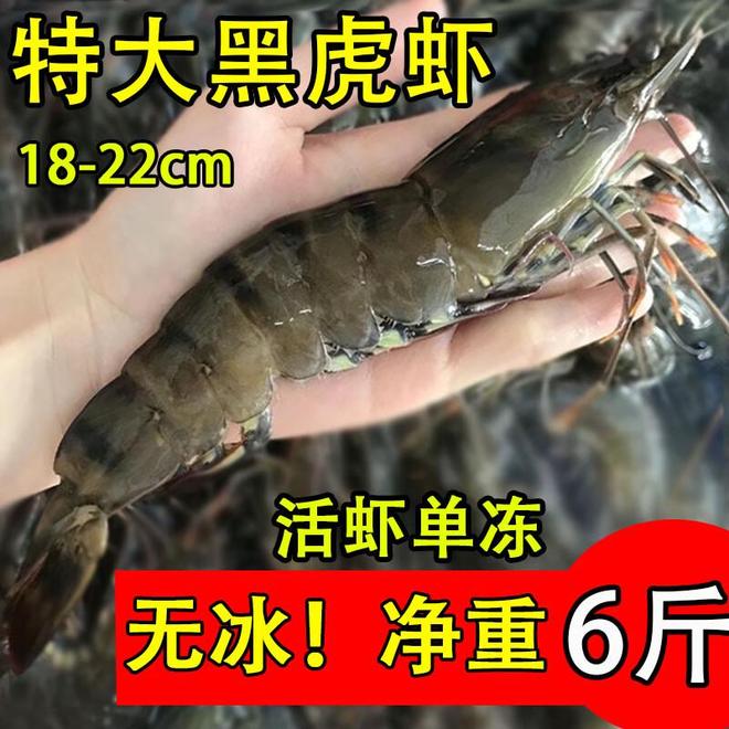 斑节虾太香了一口一个停不下来！